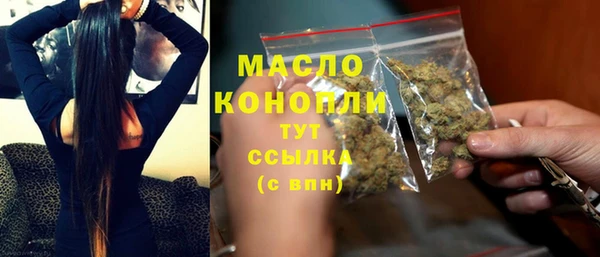 шишки Верея