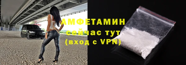 шишки Верея