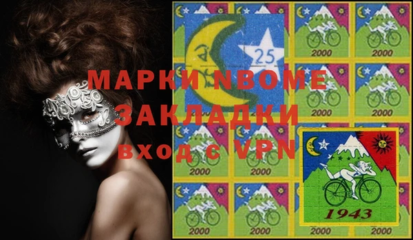 шишки Верея