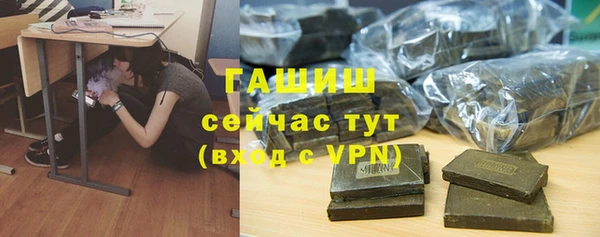 шишки Верея