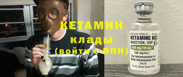 шишки Верея